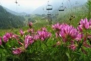 73 Discendo dal Montebello a Foppolo nella  nella calura pomeridiana con foschia